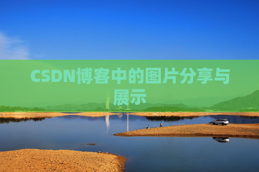 CSDN博客中的图片分享与展示